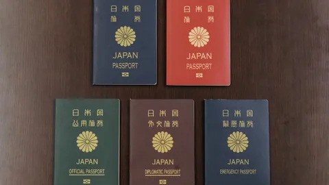 斯图加特2-0多特蒙德，吉拉西姆武帕助球队取胜德国杯